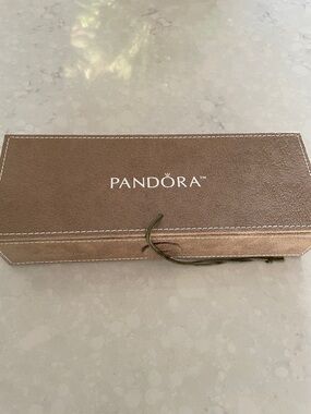 Pandora Taupe Suede Jewelry Case with Olive Cord.